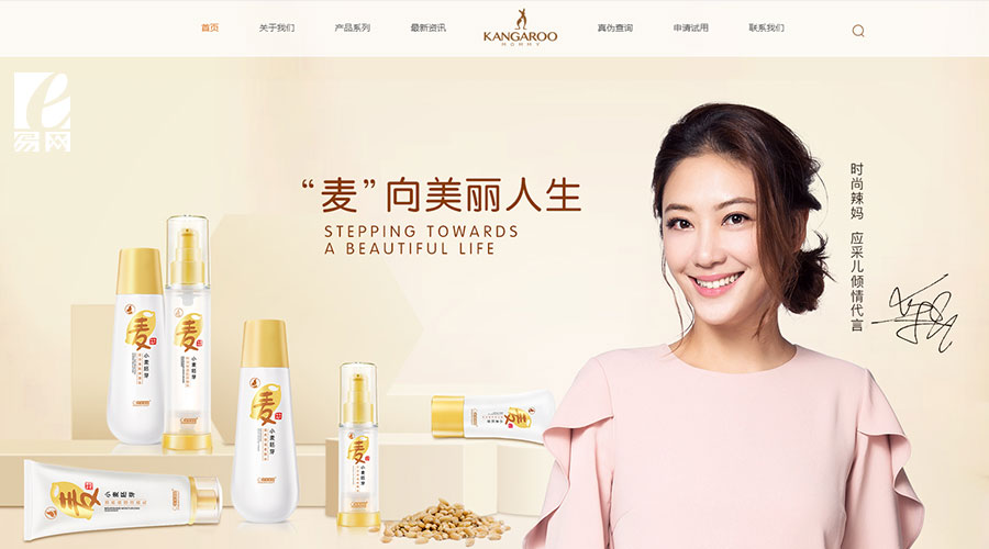 網站維護