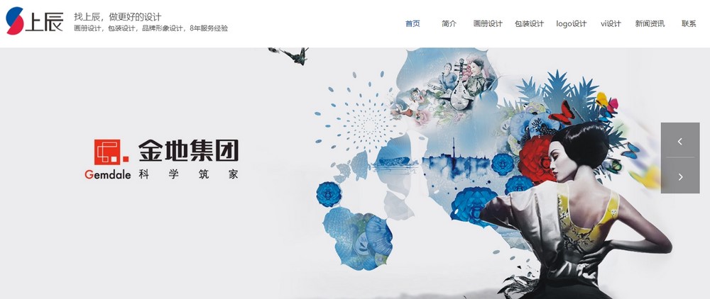 上海網(wǎng)站設(shè)計公司